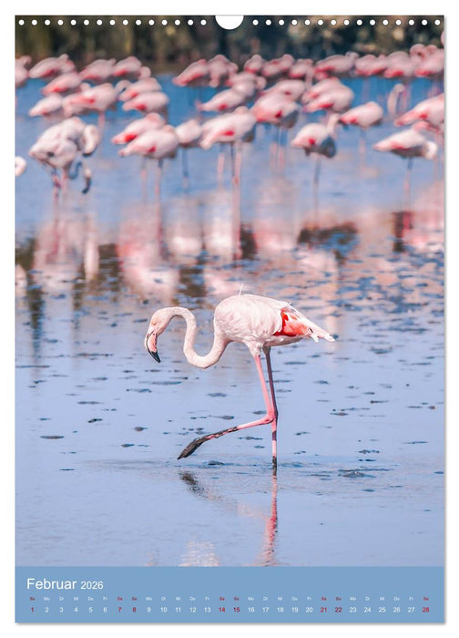 Magisches Cagliari und Campidano (CALVENDO Wandkalender 2026)