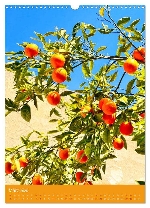 Magisches Cagliari und Campidano (CALVENDO Wandkalender 2026)