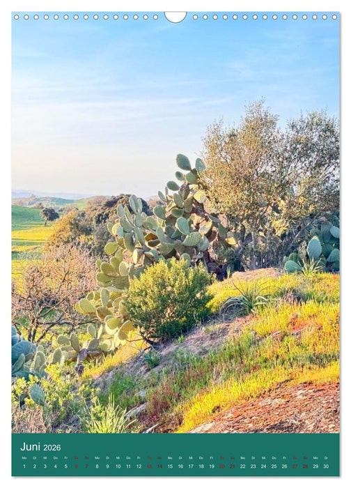 Magisches Cagliari und Campidano (CALVENDO Wandkalender 2026)