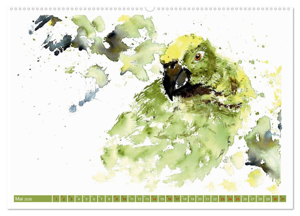 Faszination Vögel im Aquarell - Expressionistische Kunst von Doris Krüger (CALVENDO Wandkalender 2026)