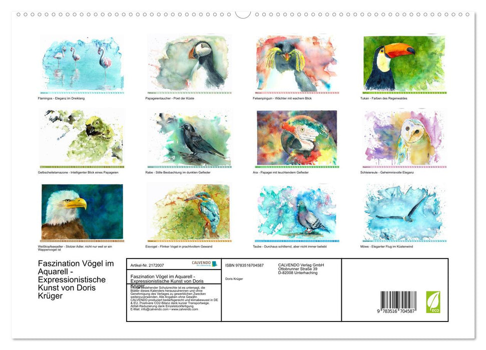 Faszination Vögel im Aquarell - Expressionistische Kunst von Doris Krüger (CALVENDO Premium Wandkalender 2026)