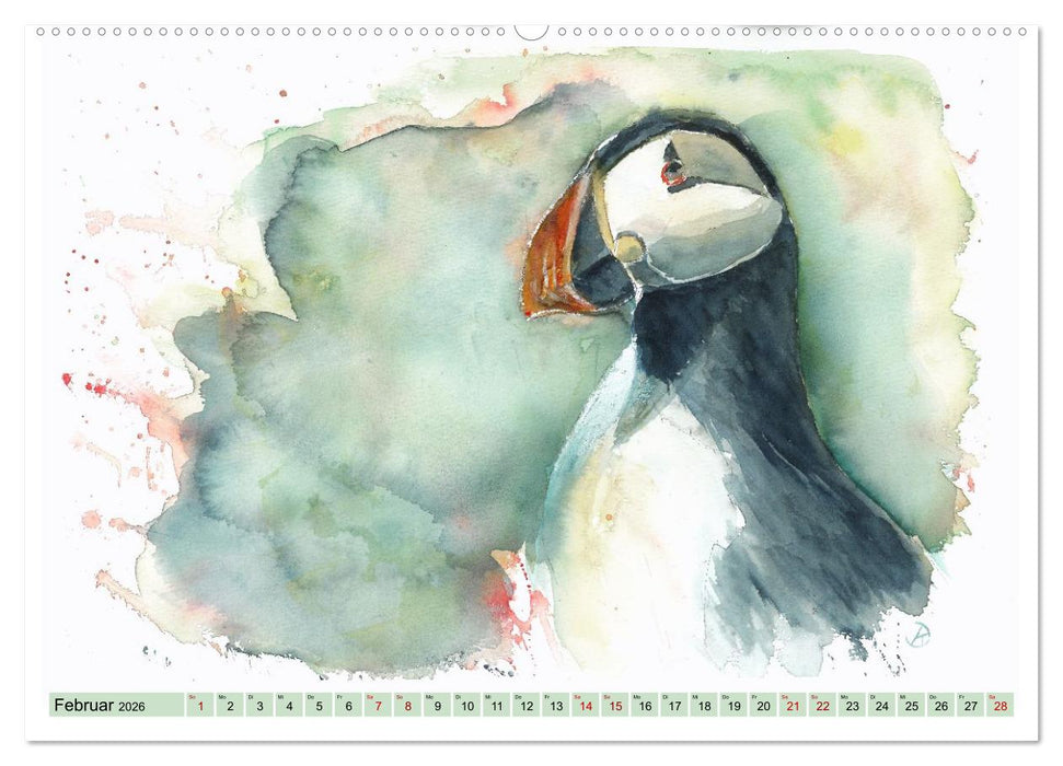 Faszination Vögel im Aquarell - Expressionistische Kunst von Doris Krüger (CALVENDO Premium Wandkalender 2026)