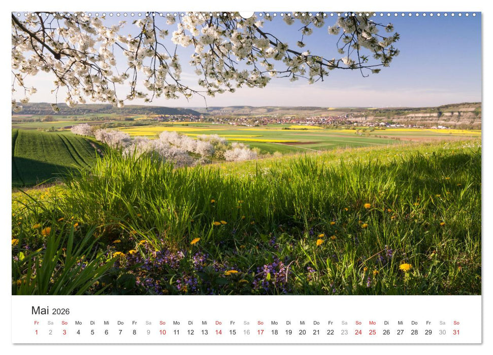 Malerisches Mainfranken (CALVENDO Premium Wandkalender 2026)