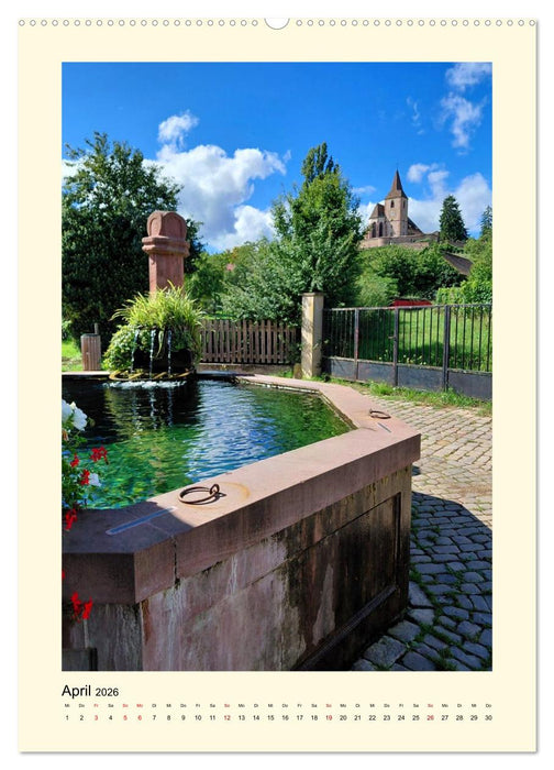 Zauberhaftes Elsass (CALVENDO Wandkalender 2026)