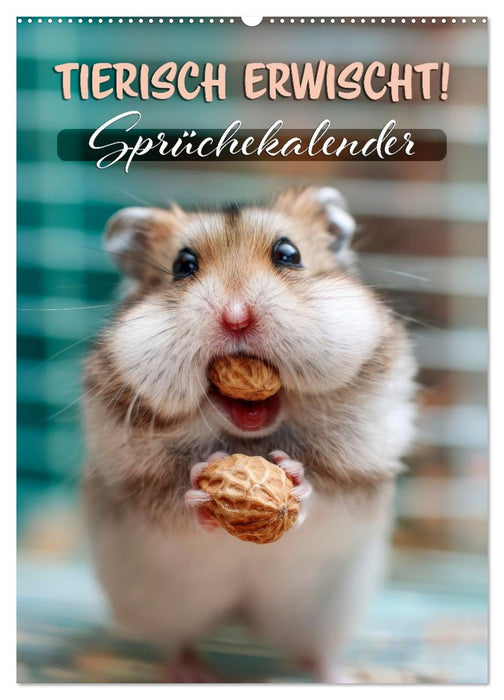 Tierisch erwischt (CALVENDO Wandkalender 2026)