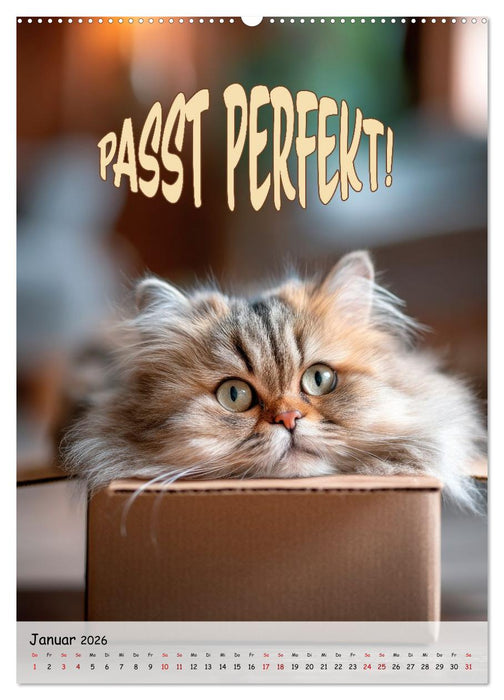 Tierisch erwischt (CALVENDO Premium Wandkalender 2026)
