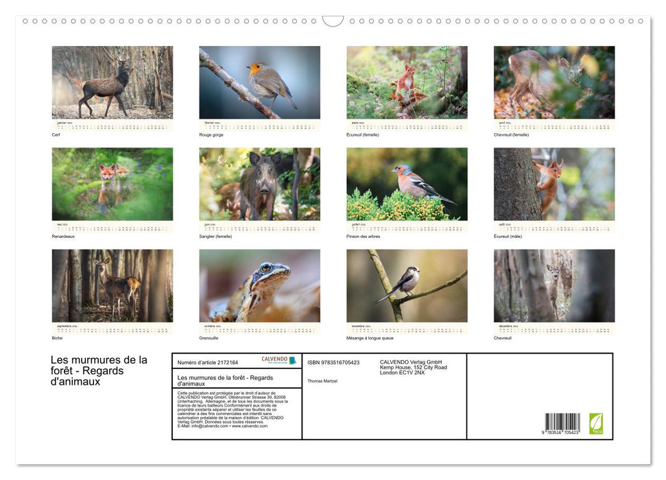 Les murmures de la forêt - Regards d'animaux (CALVENDO Calendrier mensuel 2026)