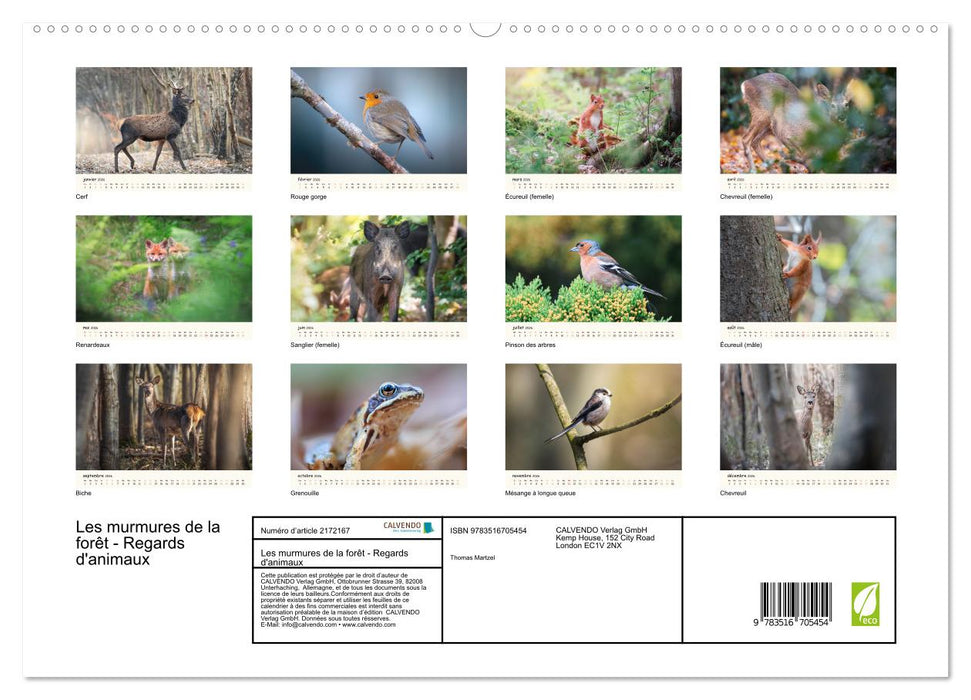 Les murmures de la forêt - Regards d'animaux (CALVENDO Calendrier supérieur 2026)