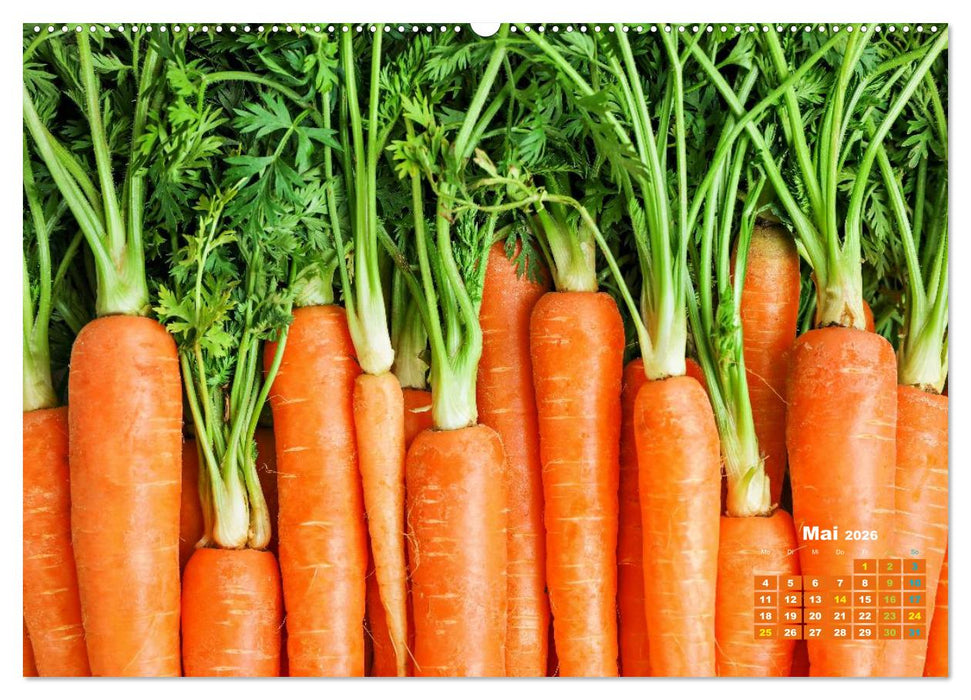 Die Welt in Orange (CALVENDO Premium Wandkalender 2026)