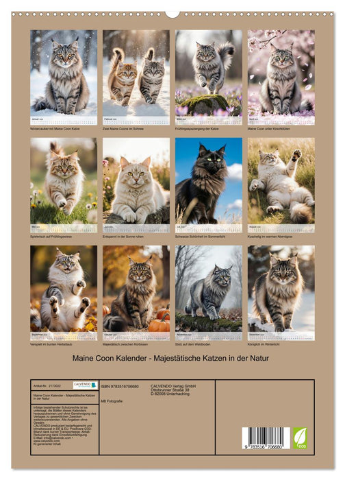 Maine Coon Kalender - Majestätische Katzen in der Natur (CALVENDO Premium Wandkalender 2026)