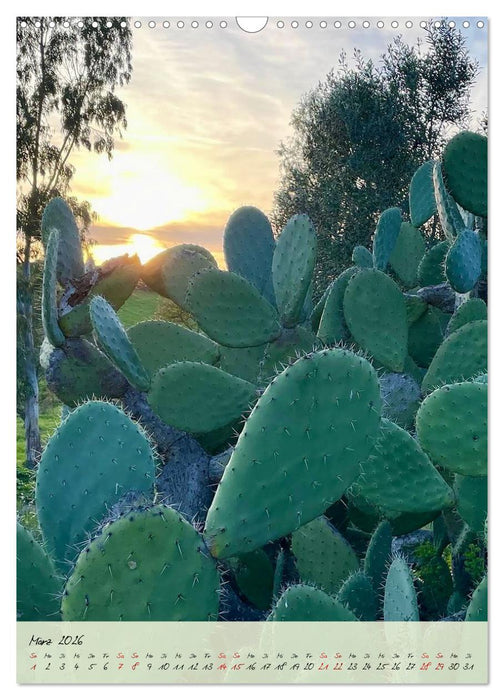 Sardinien - das ganze Jahr Urlaubsgefühl (CALVENDO Wandkalender 2026)