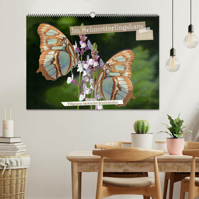 Im Schmetterlingshaus (CALVENDO Wandkalender 2026)