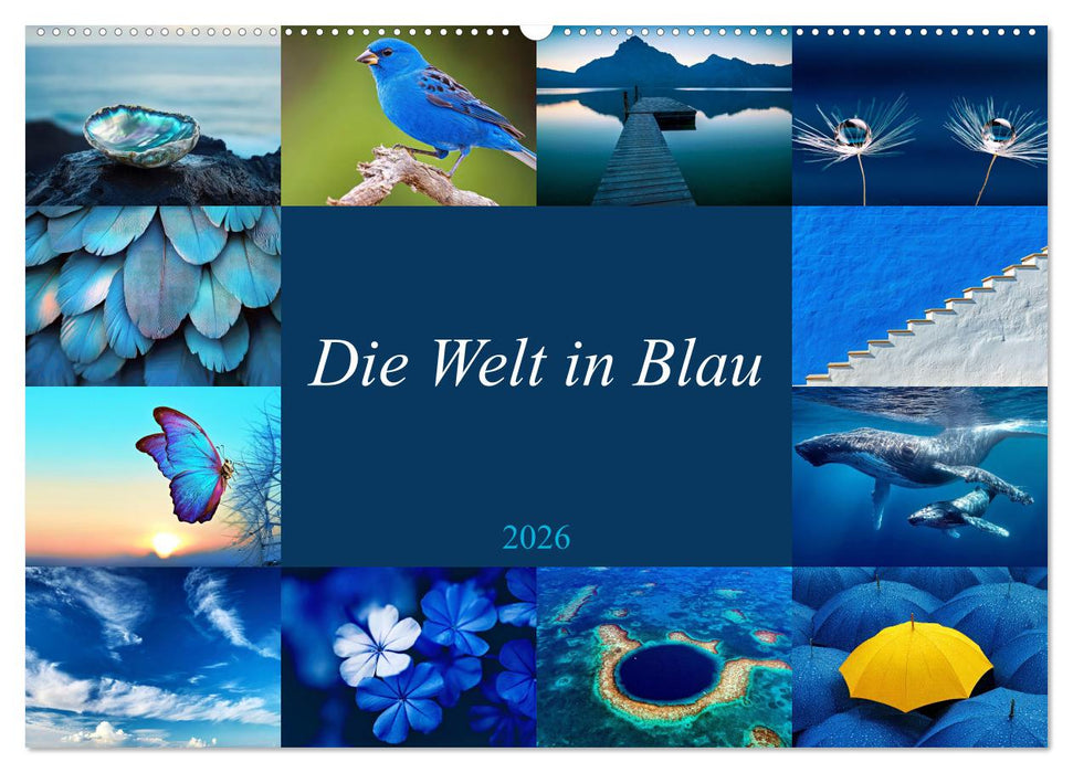 Die Welt in Blau (CALVENDO Wandkalender 2026)