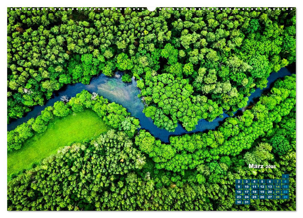 Die Welt in Grün (CALVENDO Premium Wandkalender 2026)