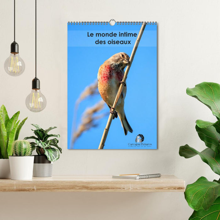 Le monde intime des oiseaux (CALVENDO Calendrier mensuel 2026)
