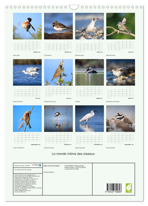 Le monde intime des oiseaux (CALVENDO Calendrier mensuel 2026)