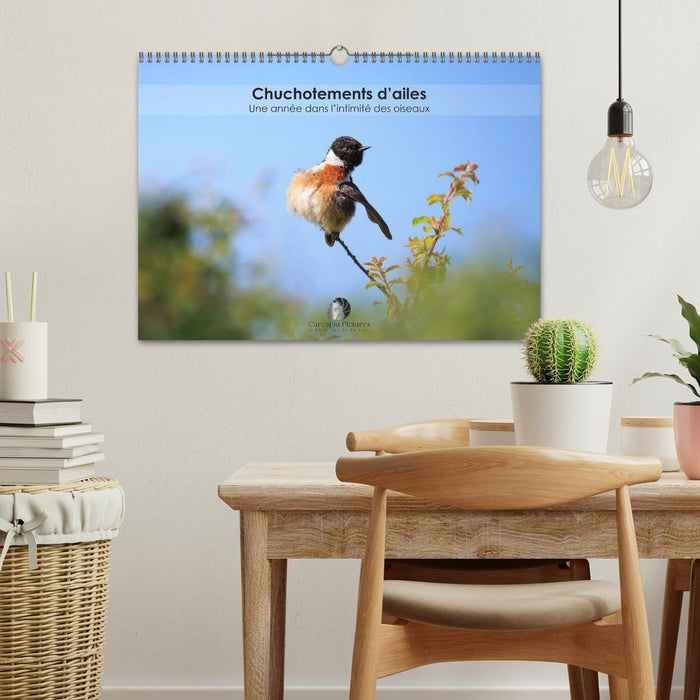 Chuchotements d'ailes - Une année dans l'intimité des oiseaux (CALVENDO Calendrier mensuel 2026)