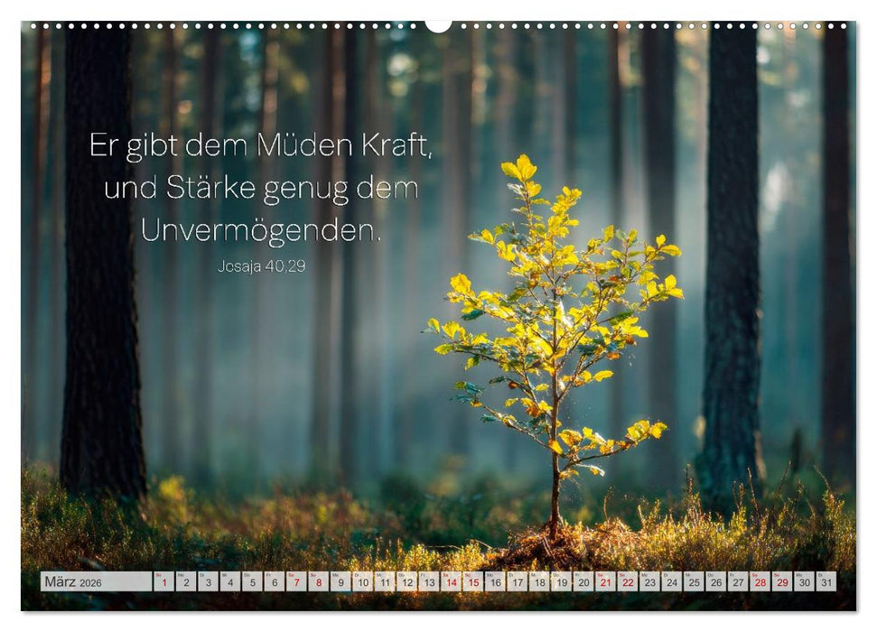 Psalmen und Bibelverse - Himmlische Botschaften (CALVENDO Wandkalender 2026)