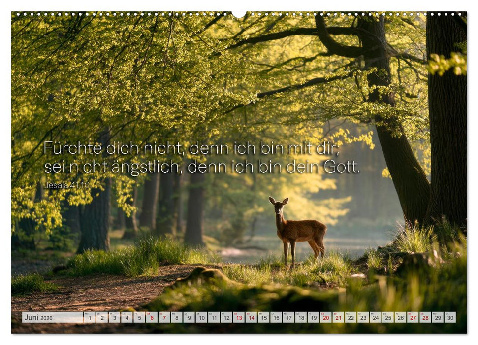 Psalmen und Bibelverse - Himmlische Botschaften (CALVENDO Wandkalender 2026)