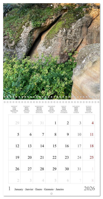 Sardegna - landscapes, sea and food from Sardinia (CALVENDO Monthly Calendar 2026)