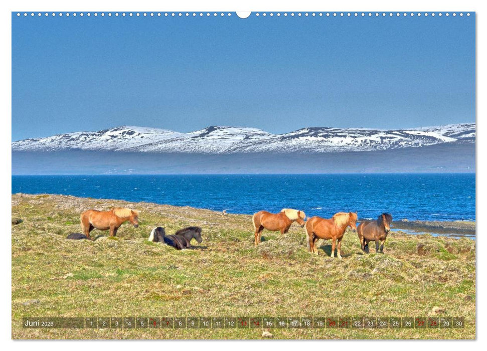 Island - Landschaften, Natur und Licht (CALVENDO Wandkalender 2026)