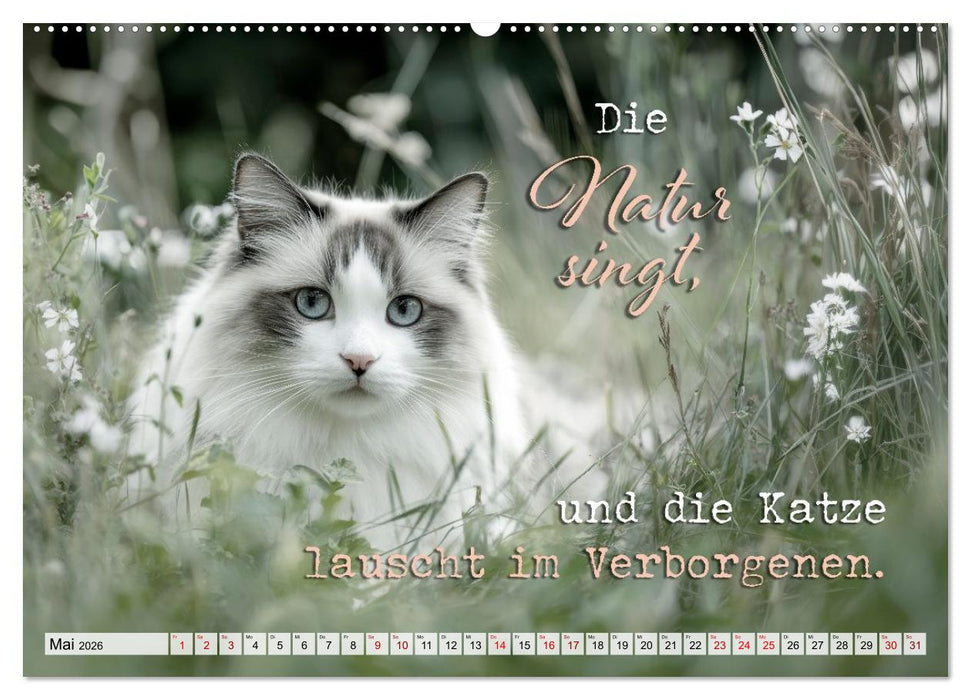 Katzenpoesie - Herzberührende Verse (CALVENDO Wandkalender 2026)