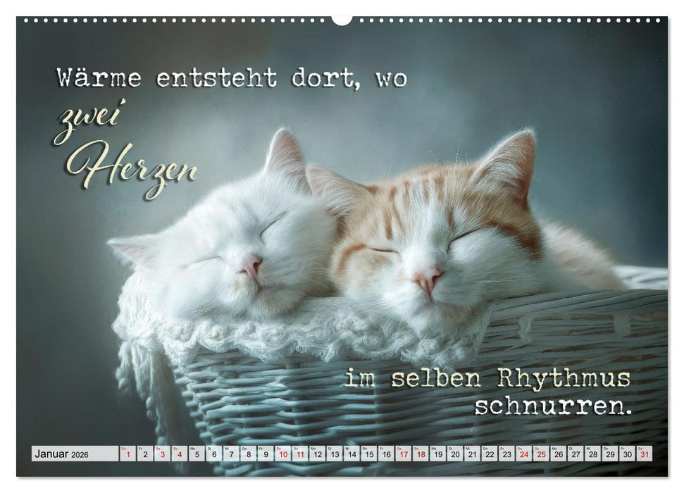 Katzenpoesie - Herzberührende Verse (CALVENDO Premium Wandkalender 2026)