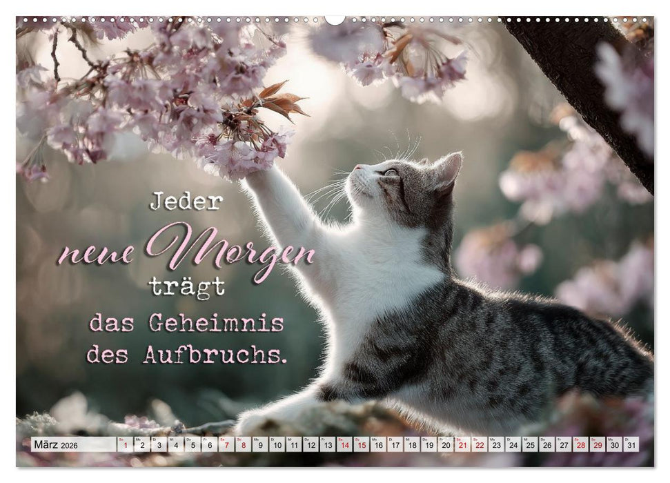 Katzenpoesie - Herzberührende Verse (CALVENDO Premium Wandkalender 2026)