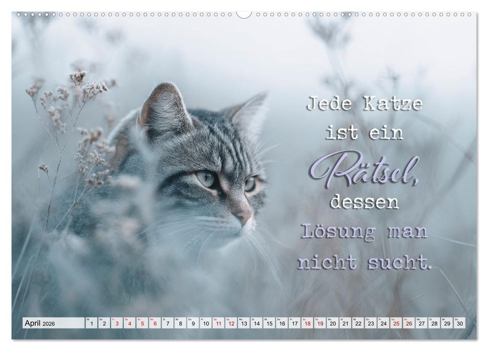 Katzenpoesie - Herzberührende Verse (CALVENDO Premium Wandkalender 2026)