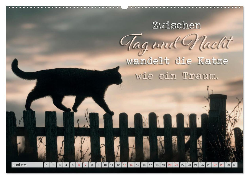 Katzenpoesie - Herzberührende Verse (CALVENDO Premium Wandkalender 2026)