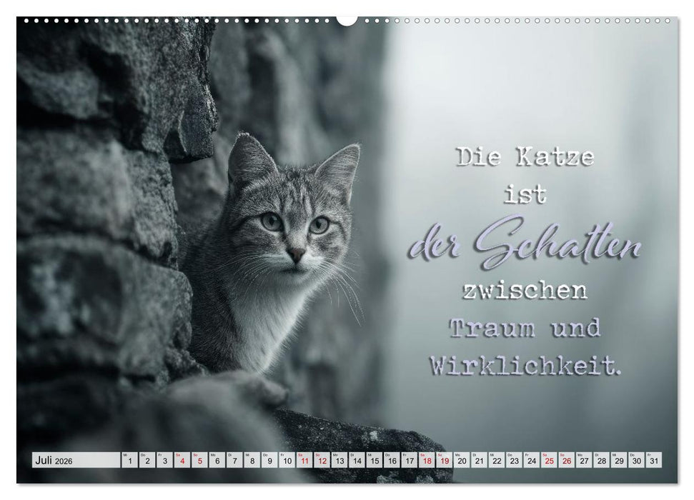 Katzenpoesie - Herzberührende Verse (CALVENDO Premium Wandkalender 2026)