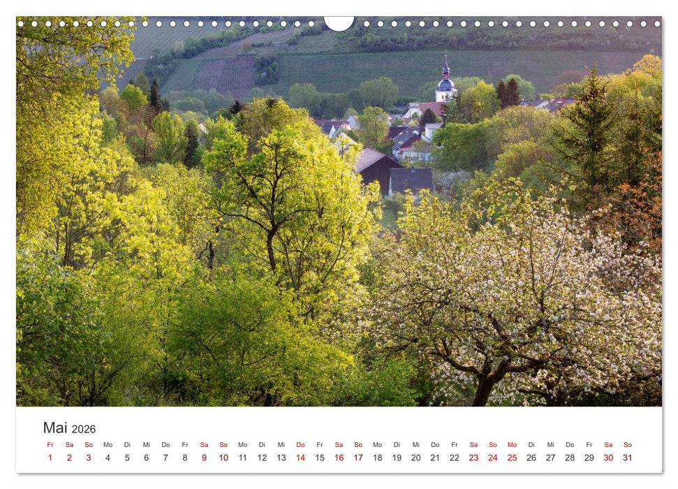 Südliches Maindreieck (CALVENDO Wandkalender 2026)