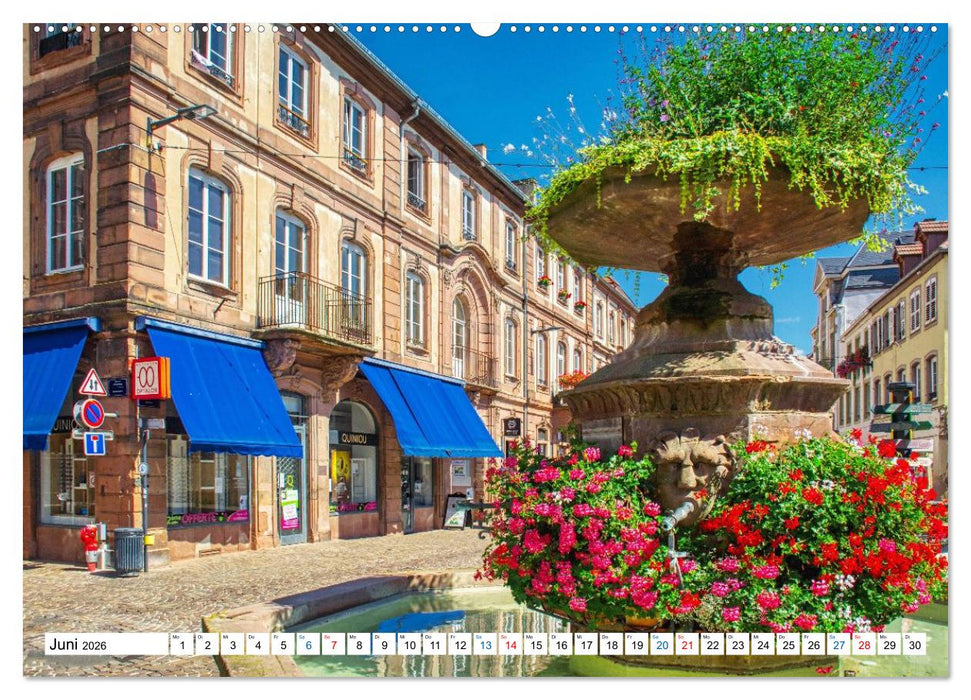 Haguenau - eine Perle im Nordelsass (CALVENDO Wandkalender 2026)
