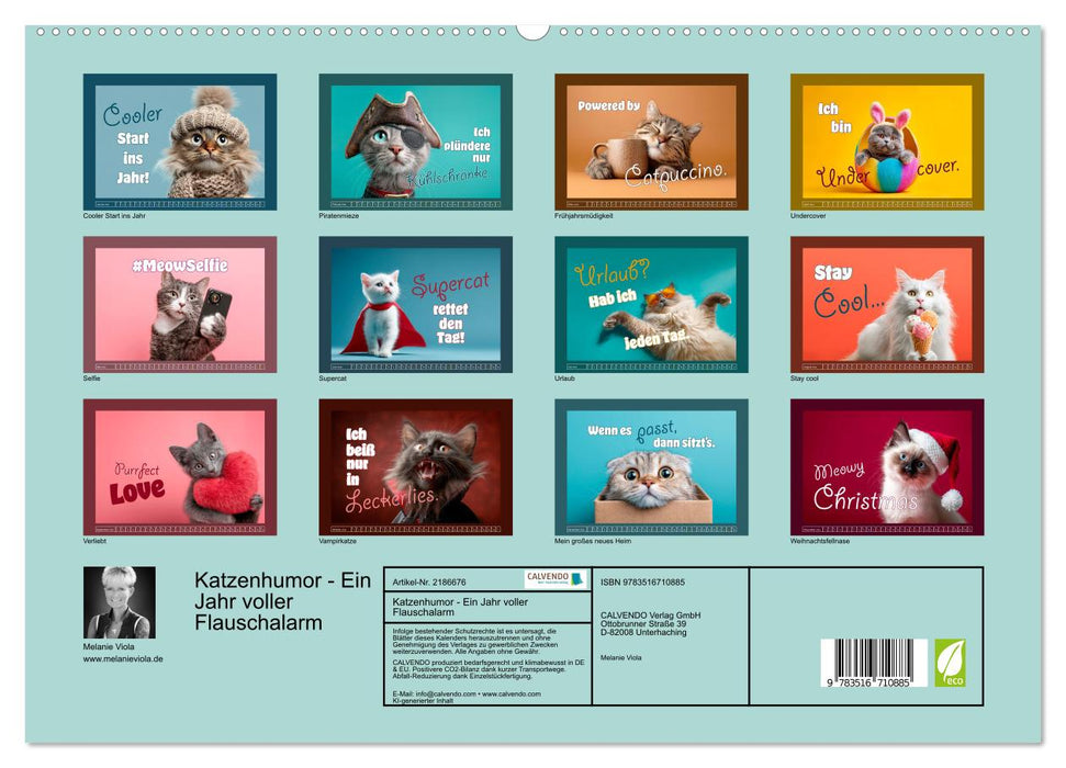 Katzenhumor - Ein Jahr voller Flauschalarm (CALVENDO Premium Wandkalender 2026)