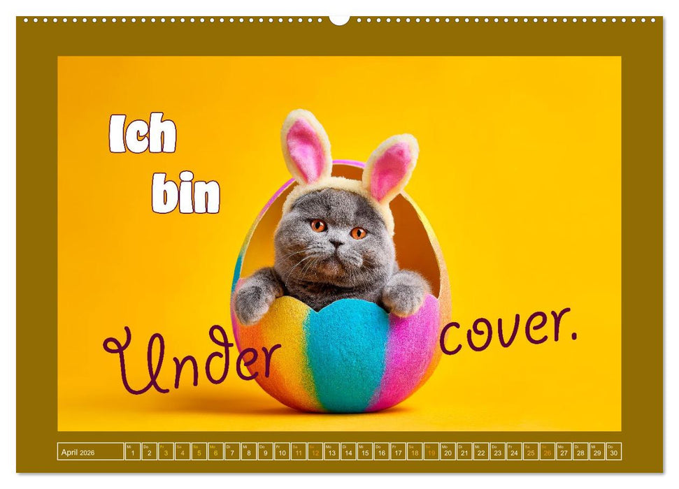 Katzenhumor - Ein Jahr voller Flauschalarm (CALVENDO Premium Wandkalender 2026)