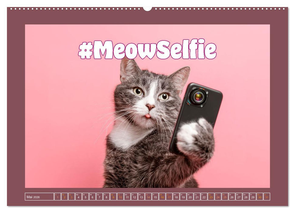 Katzenhumor - Ein Jahr voller Flauschalarm (CALVENDO Premium Wandkalender 2026)