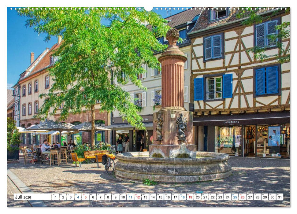 Haguenau - eine Perle im Nordelsass (CALVENDO Premium Wandkalender 2026)