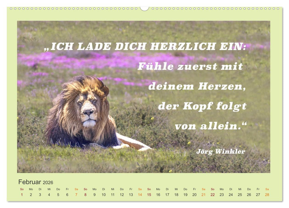 Co-Kreation, Gemeinsam Wunder erschaffen (CALVENDO Wandkalender 2026)