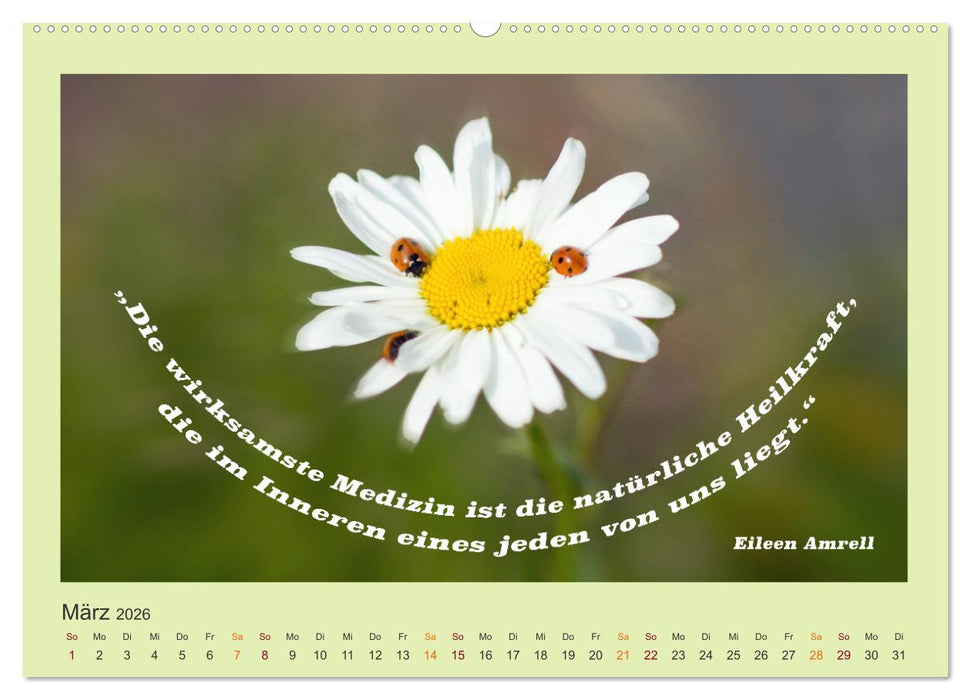 Co-Kreation, Gemeinsam Wunder erschaffen (CALVENDO Wandkalender 2026)