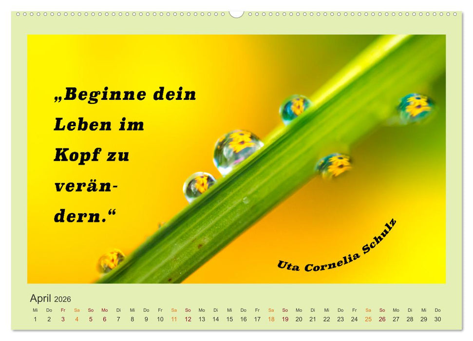 Co-Kreation, Gemeinsam Wunder erschaffen (CALVENDO Wandkalender 2026)