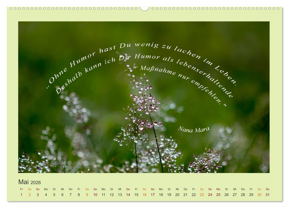 Co-Kreation, Gemeinsam Wunder erschaffen (CALVENDO Premium Wandkalender 2026)