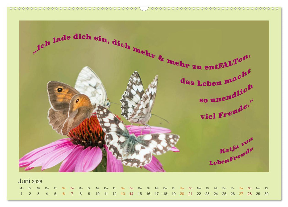 Co-Kreation, Gemeinsam Wunder erschaffen (CALVENDO Premium Wandkalender 2026)