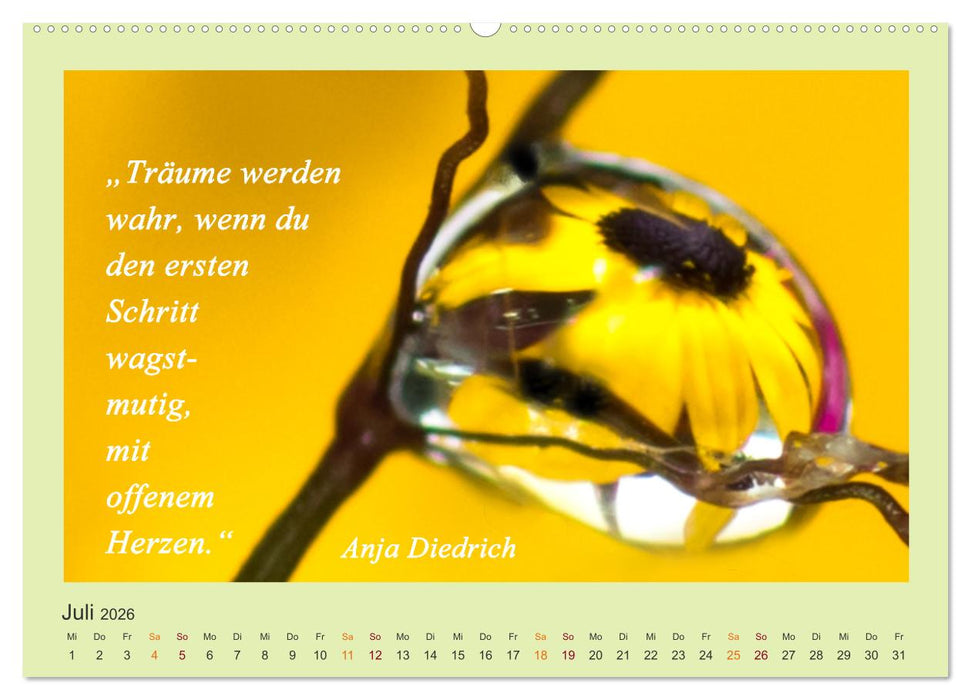 Co-Kreation, Gemeinsam Wunder erschaffen (CALVENDO Premium Wandkalender 2026)