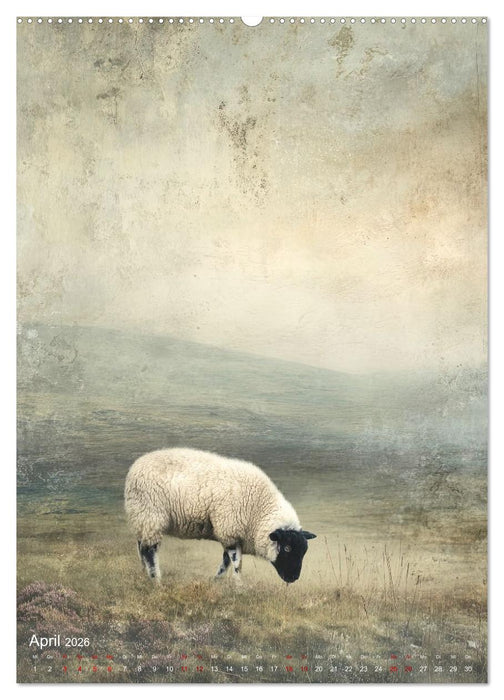 Zauber der Highlands – Schottlands Seele in Bildern (CALVENDO Premium Wandkalender 2026)