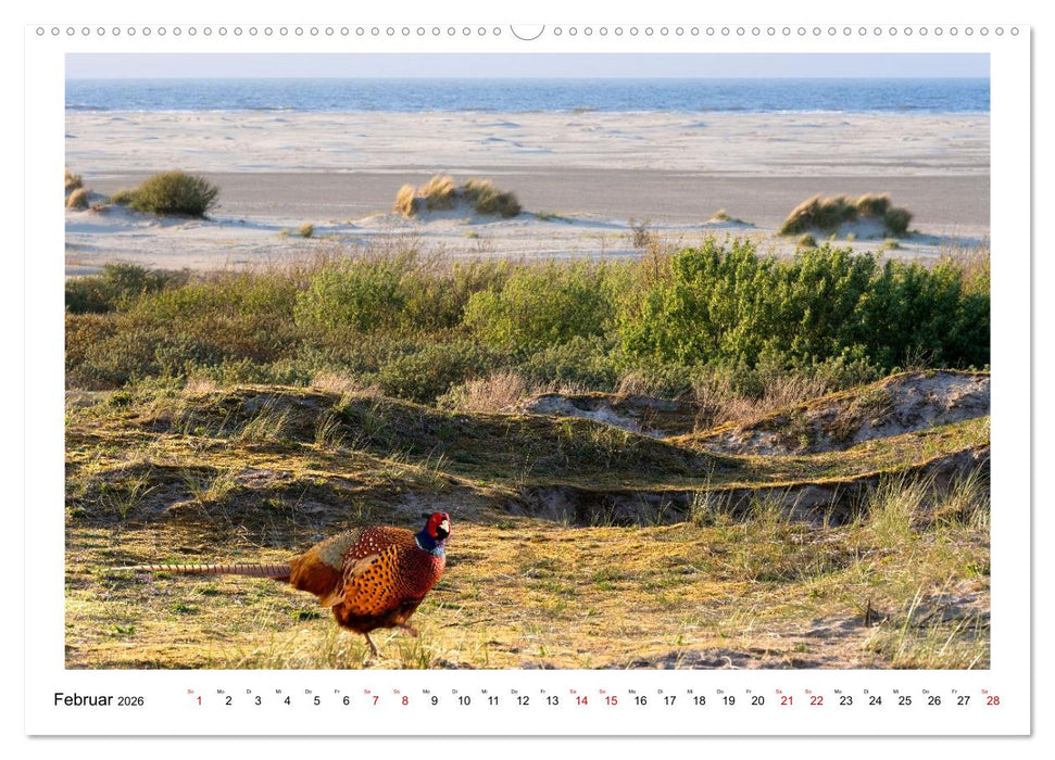 Wir fahren nach Borkum (CALVENDO Wandkalender 2026)