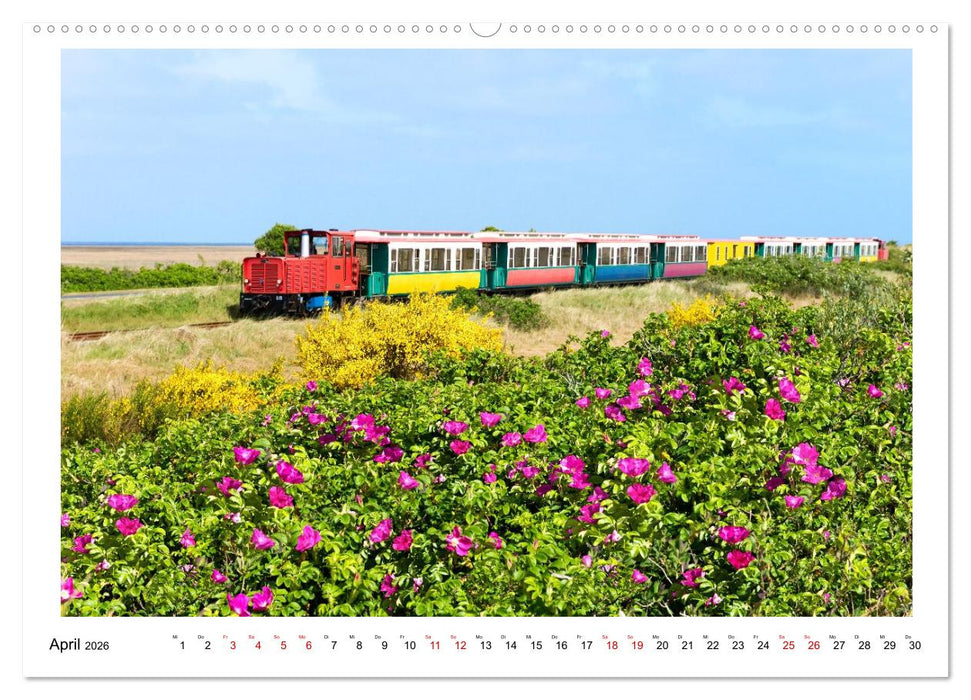 Wir fahren nach Borkum (CALVENDO Wandkalender 2026)