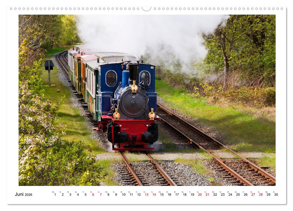 Wir fahren nach Borkum (CALVENDO Premium Wandkalender 2026)