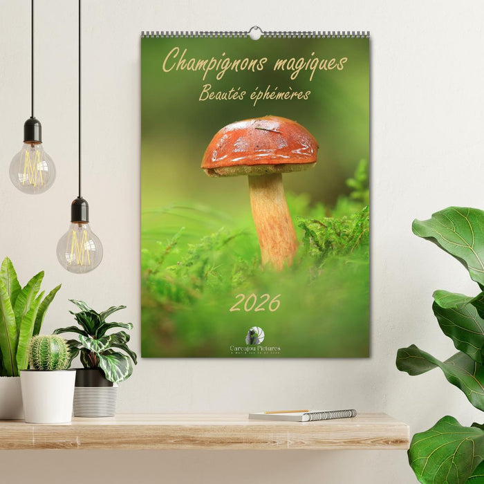 Champignons magiques - Beautés éphémères (CALVENDO Calendrier mensuel 2026)