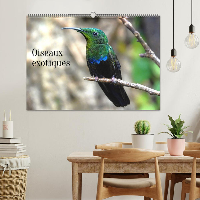 Oiseaux exotiques (CALVENDO Calendrier mensuel 2026)