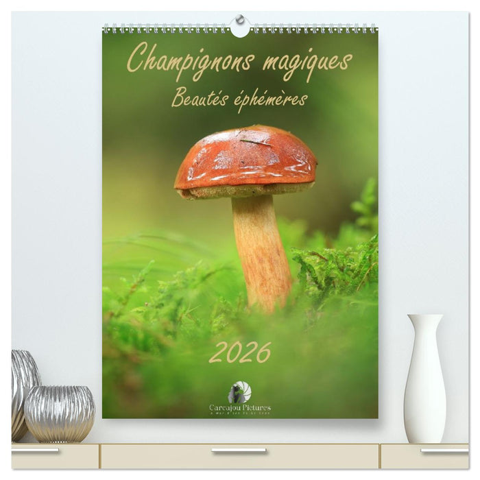 Champignons magiques - Beautés éphémères (CALVENDO Calendrier supérieur 2026)